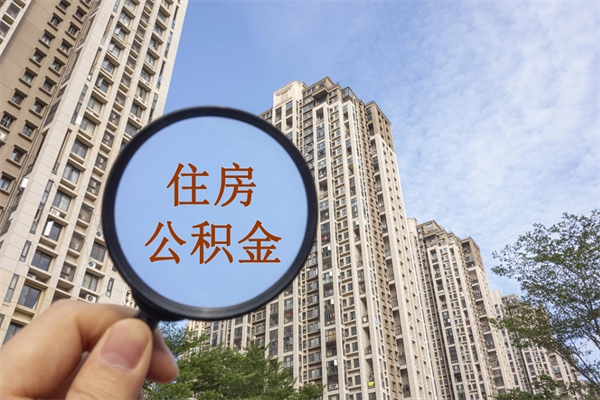 和县上海公积金提取咨询（和县全国公积金提取线上提取）